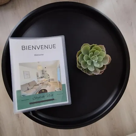 Stylish Nest: Studio Tout Confort Au Coeur De Pau Exterior photo