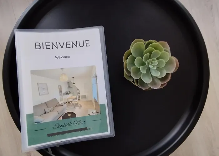 Stylish Nest: Studio Tout Confort Au Coeur De Pau